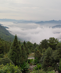 ������ʢ��ɽ������ܣ���ҵ��������