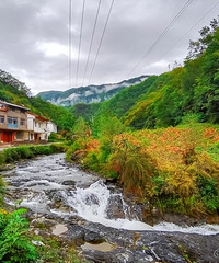 �Լ��嶫��С���ߣ�5���4���س�7�����㣬�������ֵ���ղ�