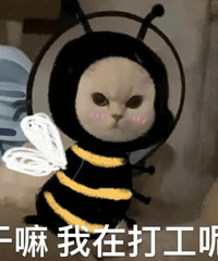 ������ֵ���򡿶��Ϲϴ��޶�ͯ������װ29����������ϴ��Һ18