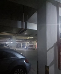 �������³��⣬ż��һ�Ը����ڵ��³�����ϰ�������