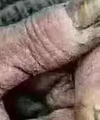 上辈子到底遭了什么孽要成为父母子