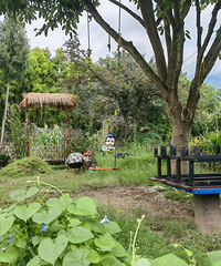 ���ն����塢ƫ�ҹ�������Σ�û�������ﵫҲ��֪��