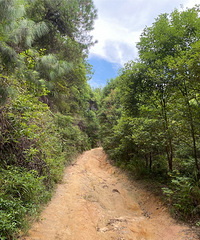 ����������һ������С������ͽ���컨��