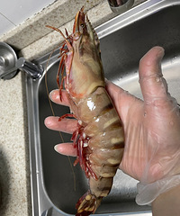 ɽķ��Ʒ���Ǿ�Ʒ�����ƴ����Ʒ��Ϻ�����ҳ尡