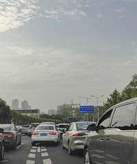 ��ĸɽ������·�ڱ���Ϊ��Ҫ����һ��ֱ�е�����������˸���į