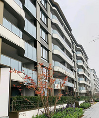 ���쿴���ռ�6:���ñ���T4����