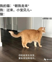 �ʹ�С������˽����ʲô���飿��ϲԩ���ս���ʵ