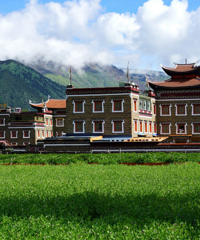 �������й۾�̨�Լ������Σ��ܿ��³������ٽ����ǹؼ�������·��