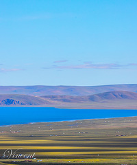 ���������ܱ�С���ߣ�һ���ٴ롢���ϼӴ�