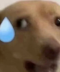 ���ͯ�����������ģ����Ĵ����ڰɱ�˺󿪶�ſ��ͨ����