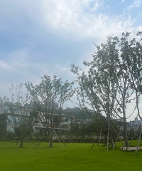 ���Կ��ԣ��Ͷ����ף�