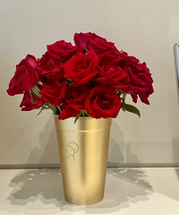 ϲ��Ľ�Ͱ���ӣ���ĸ߼�ס��