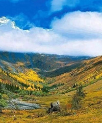 6���������й��������족���Լ�·�ߣ���������NO.1