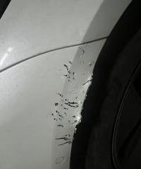 ��ü�������Ȼ������ҧ�ˣ�����̫�����ˣ�˵������������