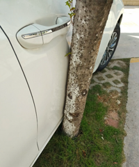 �����������Ҫ��ô�������Ų�����