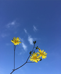 �����ܽ����Σ��Ҷ�Ҫ���Ұְ֡�