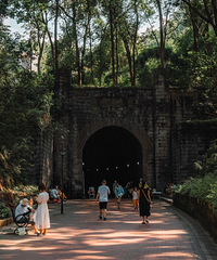 ���Ҷ�������ǧ��ǧѰͬ������������