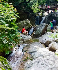 �ˡ��Ÿ�ͬ�¿���ȥ�棬AA�ƣ����ڸ����ϻ��ǳ���������