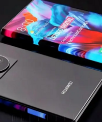 ������Ϊ������˵��15�Ͱ��������14����