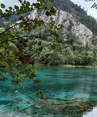 �������Լ���