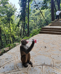 ����ǭ����6���Լ��Σ�