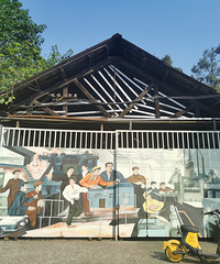 ��ɿ��Ҹ��﹫԰���ޣ�����ľ�۳����Թ䣬��������������Ϫ