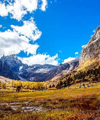 ��ѡ10�������Լ���·��������죬�����ջ������ɫ