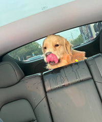 ��ҳ��ϵĿ�ˮӡ����ô��������������������ʲô��������������