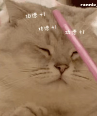 ������ֵ���� ���ѧ���ֱ�5.8��Fresh�������130