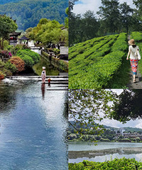 ������+��������ˣ�ڳ�â�б�ɽ������