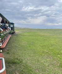 ����ȥ���ͺ��أ����ܲ�ԭ��ɳĮ�������о�������ˣ�����ʳ