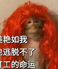 ������ֵ������ħʦ���±�88��361��ʿ�˶���79