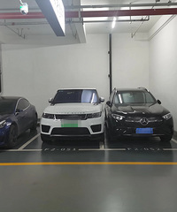 ��ͣ�İ׳��������ţ���ͣ�ĺ�ɫ��û�����Σ�