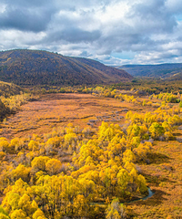 ���䱱����կ���й������ص�15��С����ɫ���ھŸ��Ǻ���