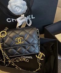�²���CHANEL�ɿɰ���С�ϰ�������б��Ҳ���Ե���
