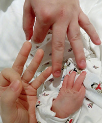 Selina��������������Ҫ˳�����������ز��ǹؼ�