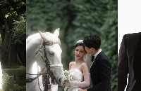 ԰�ֺ������Ҳ̫�����˰ɣ��о�������Ƭ���ڷ���