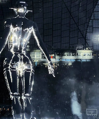 ����������˭���쿴������Theweeknd�ݳ��᣿