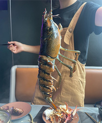 ׼�������˳����һ�κ��ʣ�������������������Ʒ�ʺ�