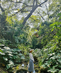 ��ã���������������磬Ȼ���ڴ�����