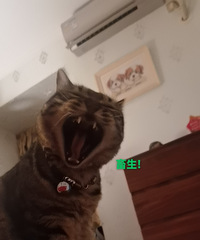 91176CMλĸ飬ϣԷ90~97