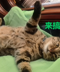 91176CMλĸ飬ϣԷ90~97