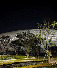 �������ֽ����ơ�ͭ�����߰���͢����������Ҫ����