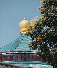 ���졤����ɽ����