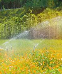 ���졤����Ϫ������԰