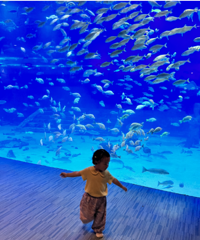 �̵������������ĵط�