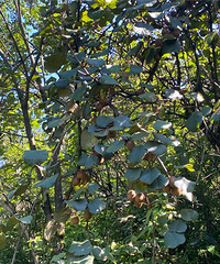 ͽ�������ϴ��ؾ�����������ɽ��Ұ��⨺���