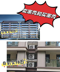 ˵�õ�����Top One ��