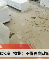 新房6天被“粪水”淹2次!
