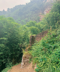 ͽ��������������Լ�������ף�����������